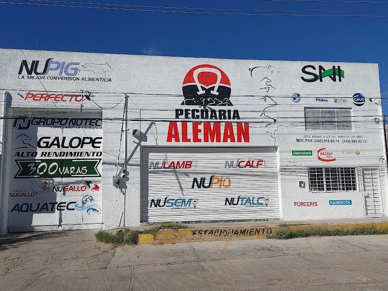 Pecuaria Alemán