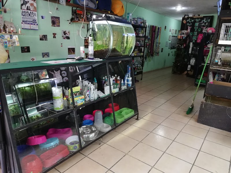 Pelos, garras y escamas