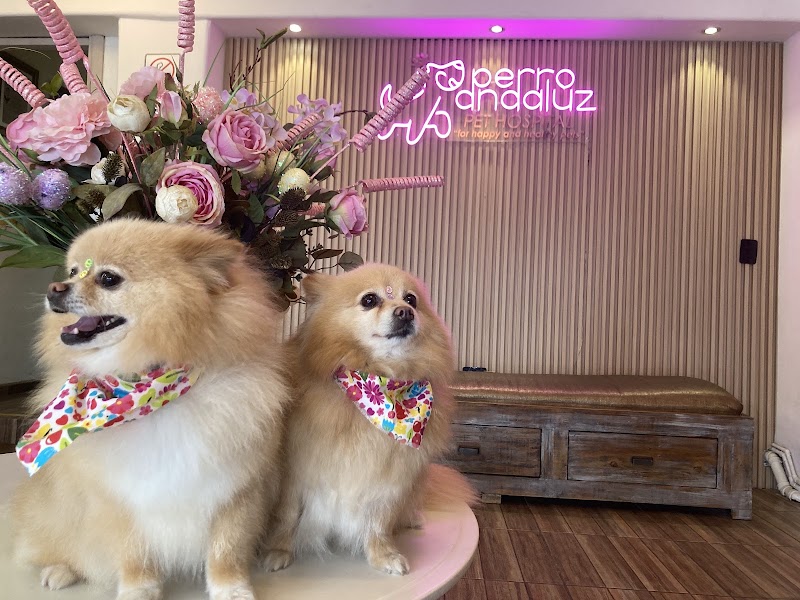 Perro Andaluz Hospital Veterinario (Pet Hospital)