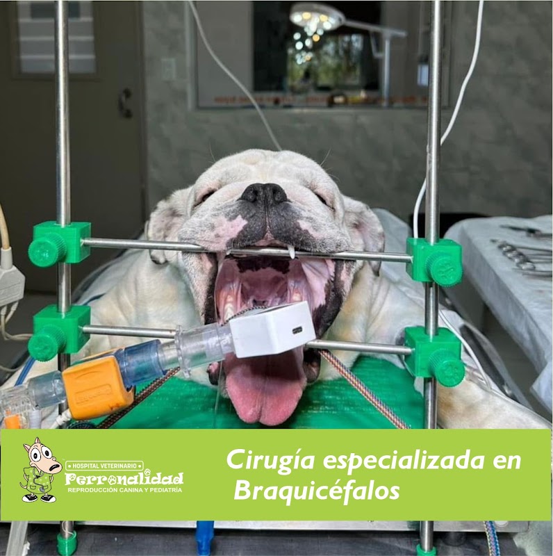 Perronalidad