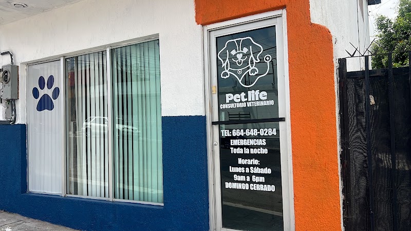 Pet Life Consultorio Veterinario
