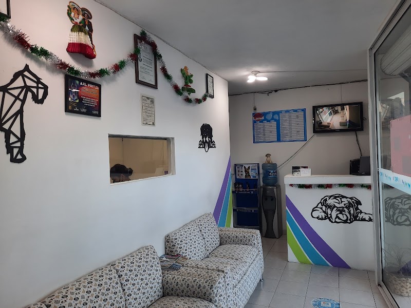 Pet Vet