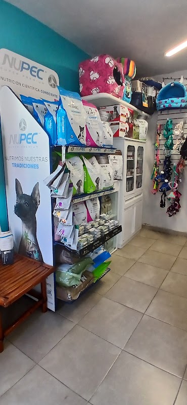 Pets & Health Veterinaria & Estética canina