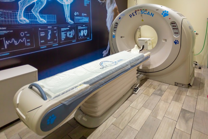 Petscan by CEEAD