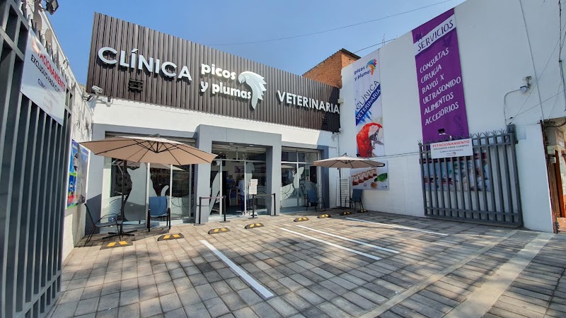 Picos y Plumas