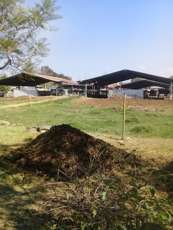 Posta Veterinaria UMSNH