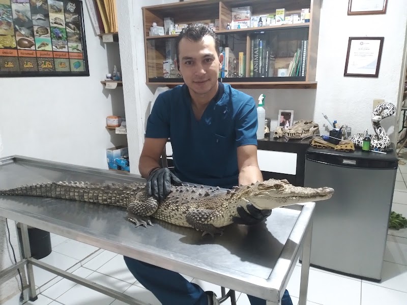 Reptilia Clinica Veterinaria & Tienda De Mascotas