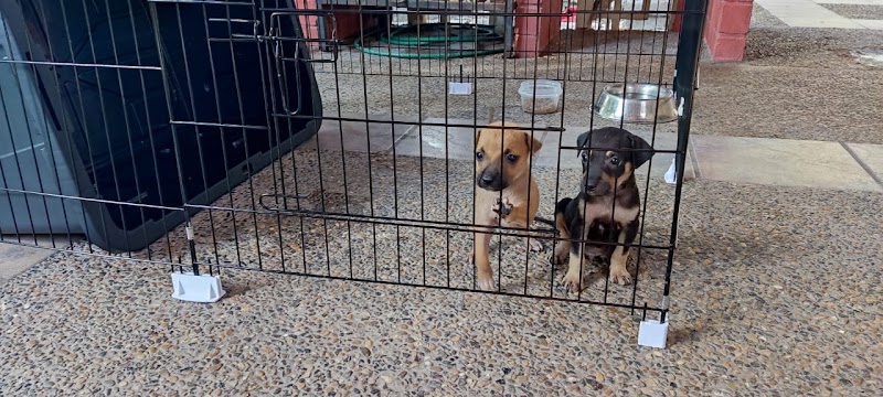 San Luis Veterinary Hospital