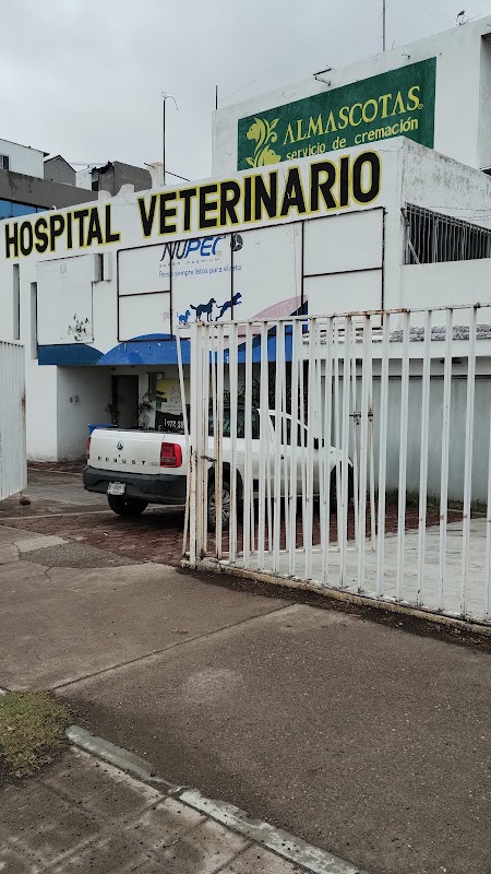 Servicio Veterinario MUNDO ANIMAL