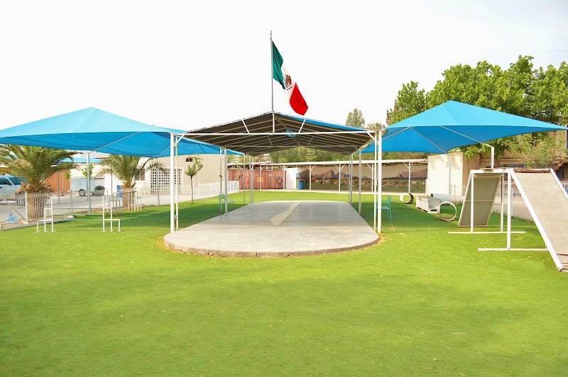 Servicios Especializados k9