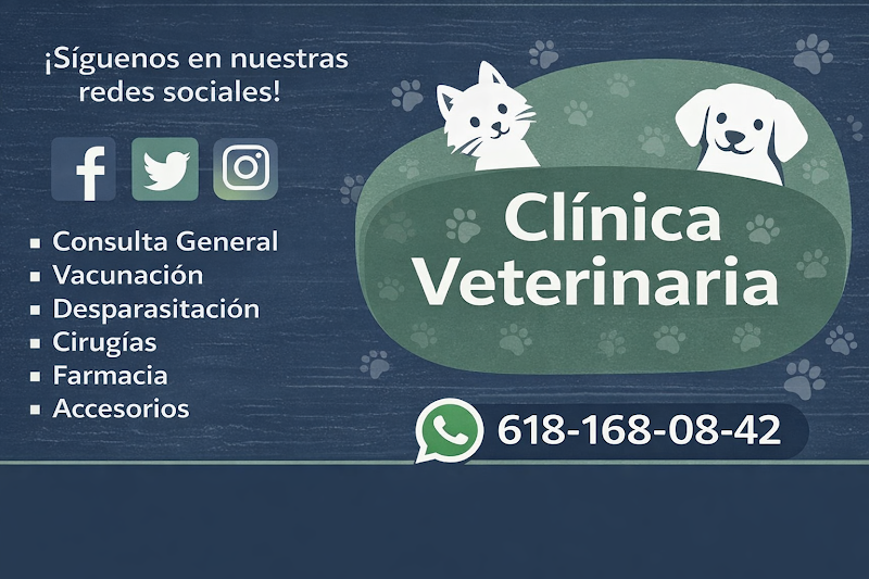 Servicios Médicos Veterinarios