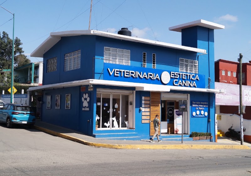Servicios Veterinarios de Xalapa