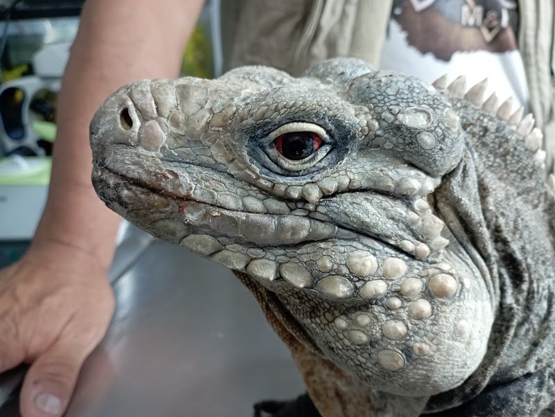 Tepayaxin Clínica Veterinaria
