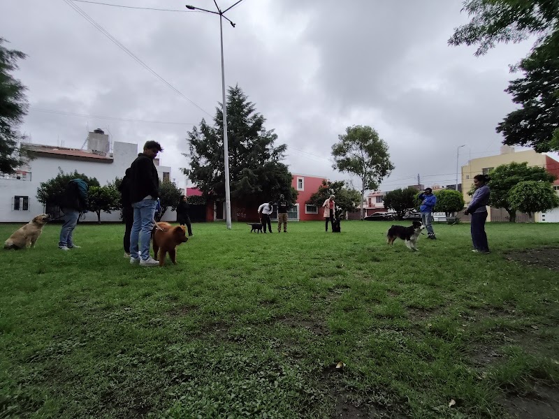 Treat Pet Coaching Institute (Escuela Canina)
