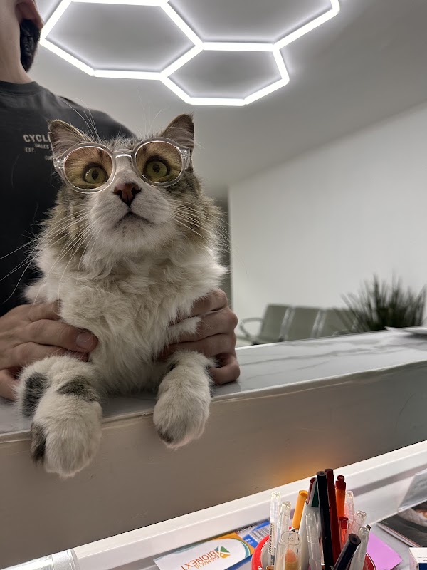Unidad de cuidados intensivos veterinarios