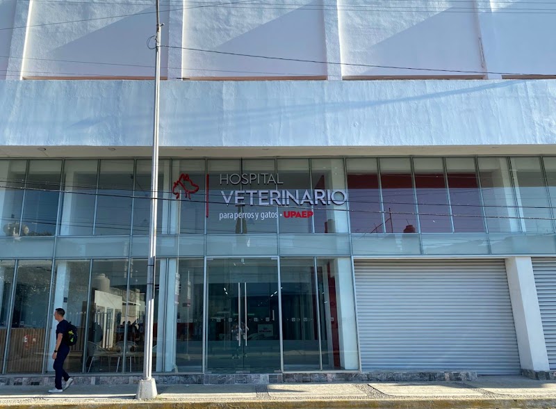 UPAEP Hospital Veterinario