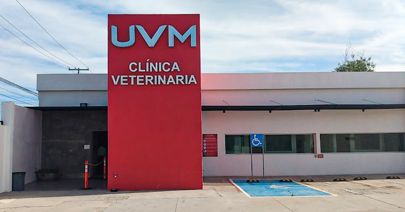 UVM Clínica Veterinaria