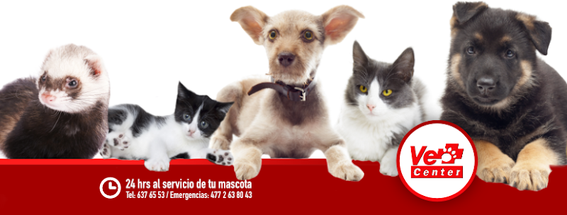 Vet Center León