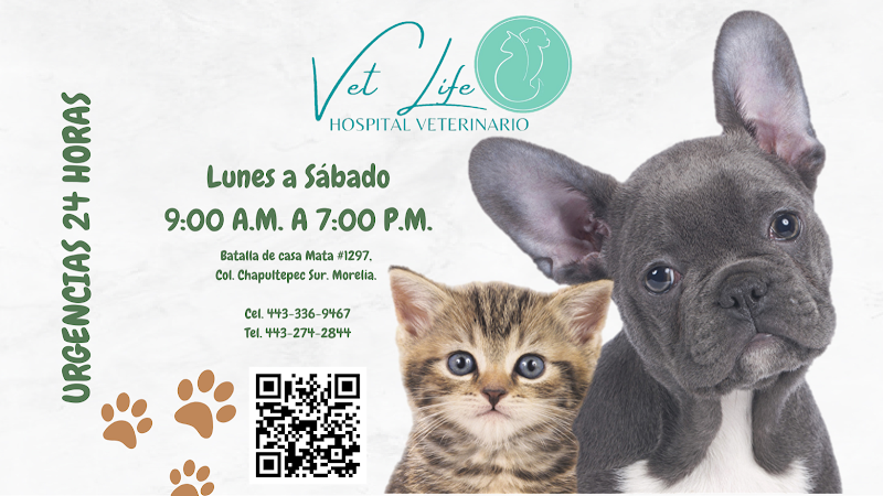 Vet Life Hospital Veterinario