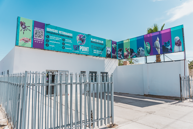 Vet Point Hospital Veterinario