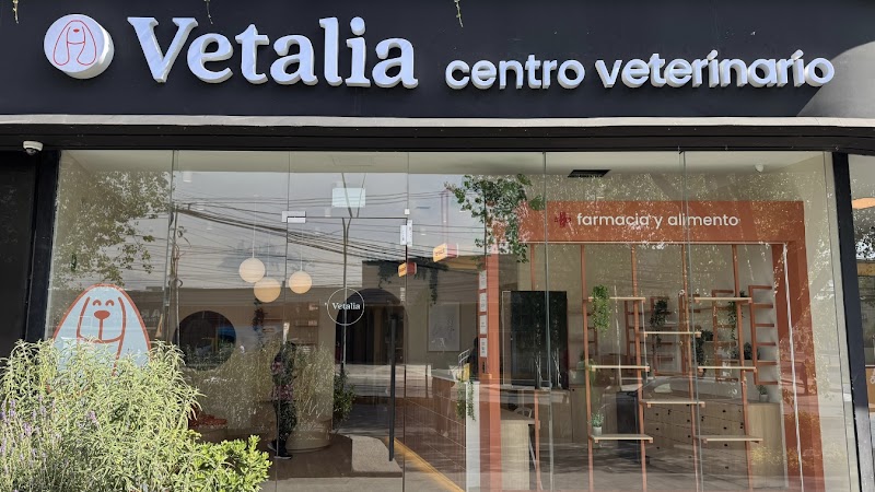Vetalia Metepec