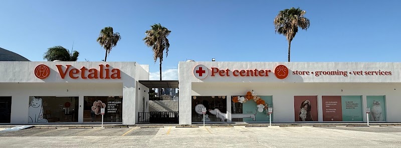Vetalia Monterrey