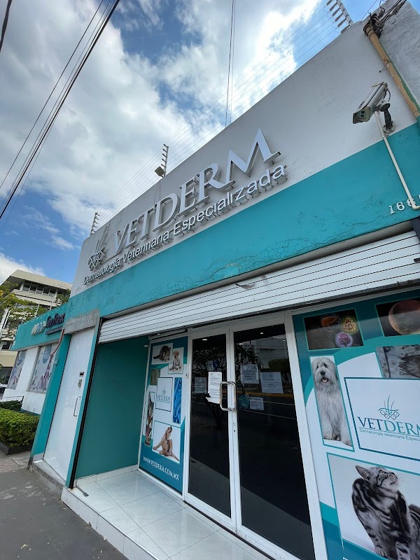 VETDERM