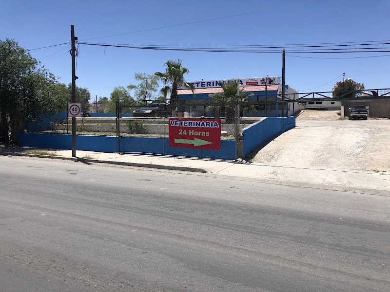 Veterinaria Ángel de Juárez 24 horas