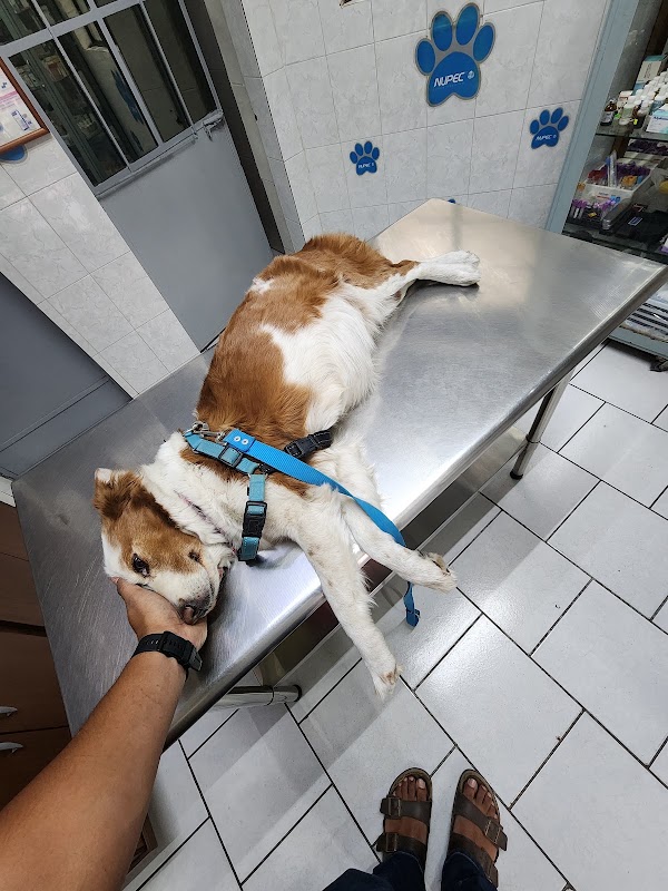 Veterinaria Animal Health
