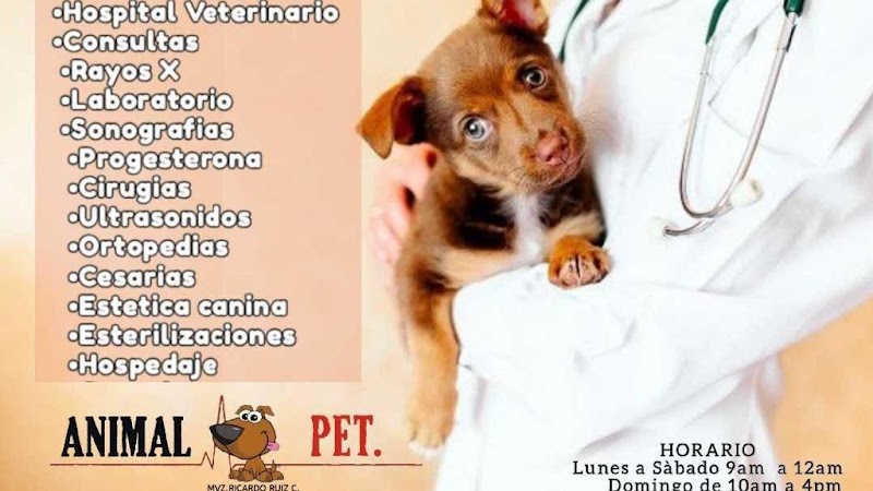 Veterinaria Animal Pet