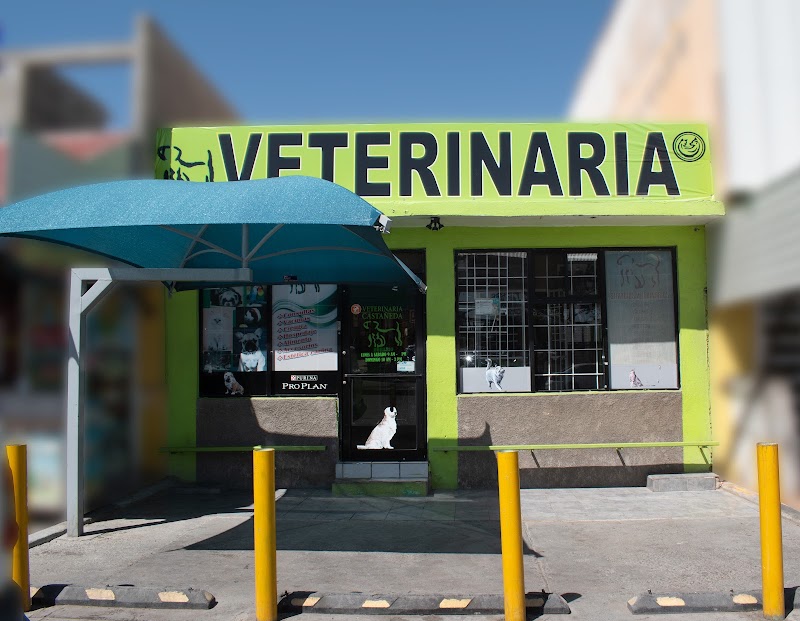 Veterinaria Castañeda
