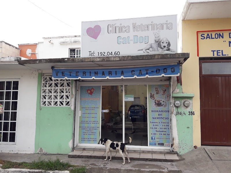 Veterinaria Cat-Dog
