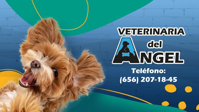 Veterinaria del Ángel