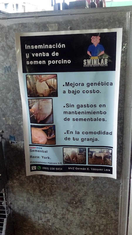 Veterinaria del Grijalva