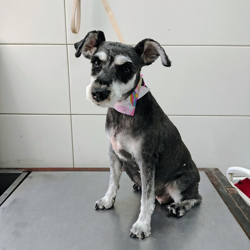 Veterinaria del Parque