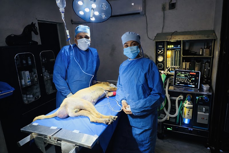 Veterinaria Dogtor Acapulco