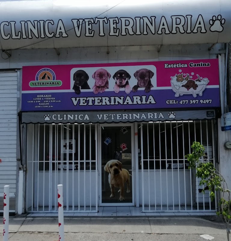 Veterinaria El Cachorro