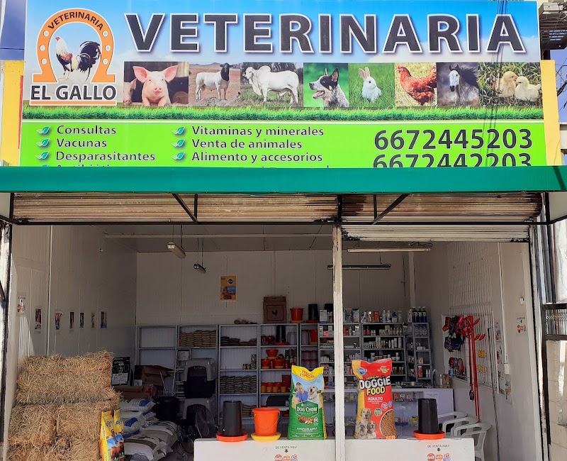 Veterinaria El Gallo