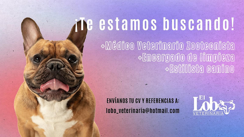 Veterinaria El Lobo