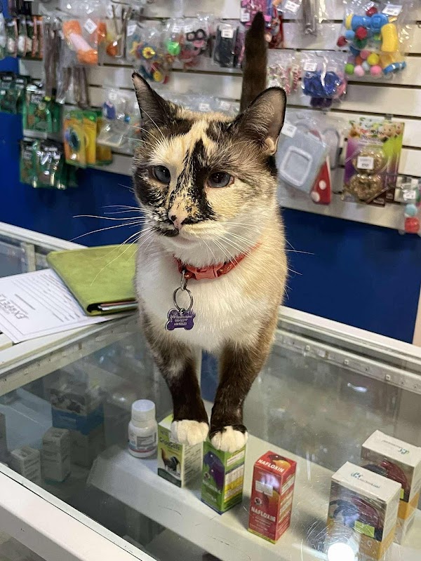 Veterinaria Exopet's Juarez