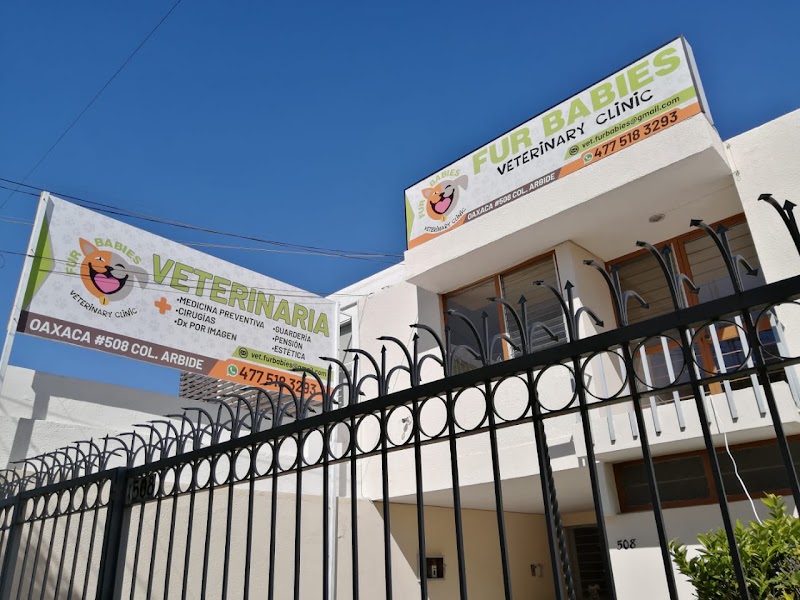 VETERINARIA FurBabiesVet