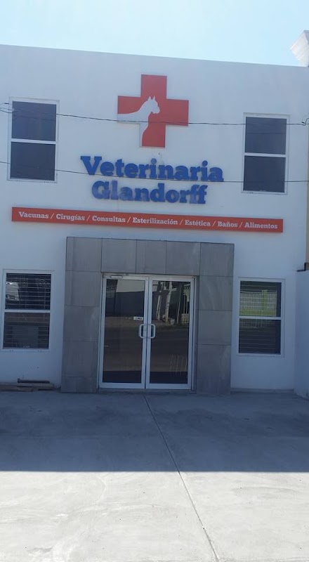 Veterinaria Glandorff