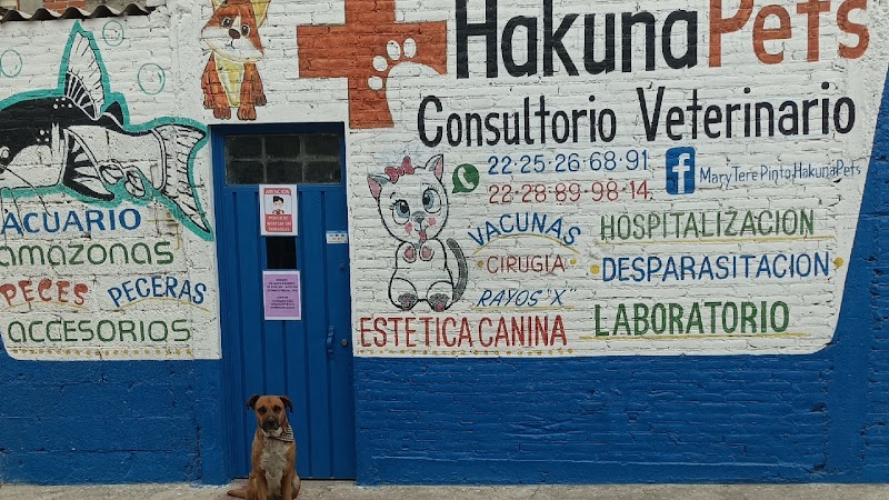 Veterinaria Hakuna pets