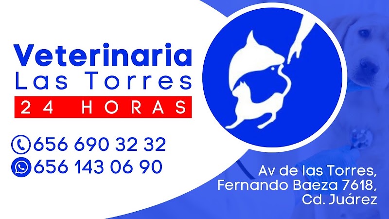 Veterinaria Las Torres 24 Horas