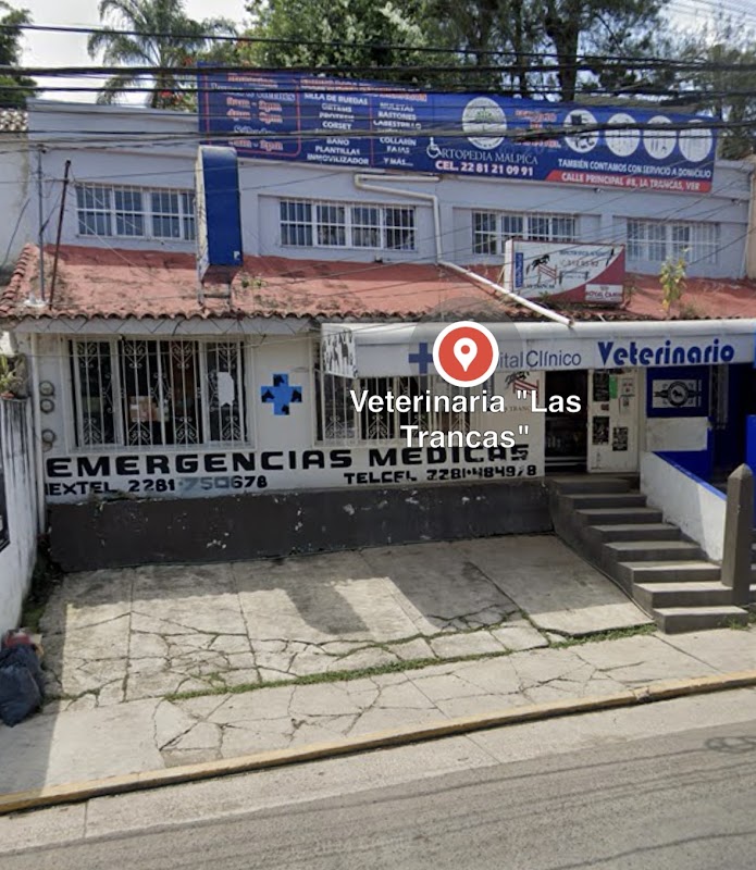 Veterinaria "Las Trancas"