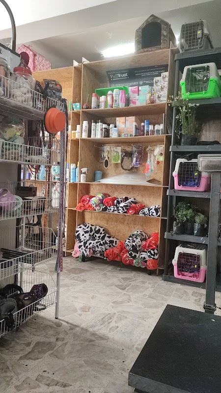 Veterinaria Los Músicos de Bremen
