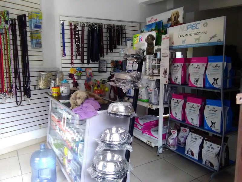 Veterinaria Madero Ex Marquesado