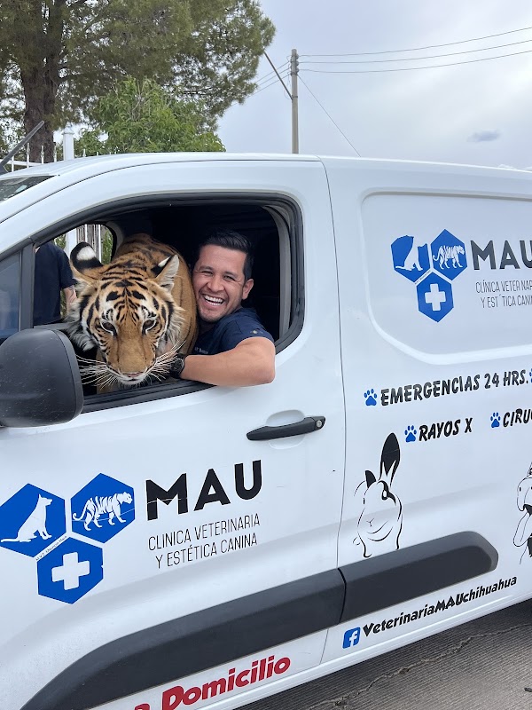 Veterinaria MAU y Estetica Canina