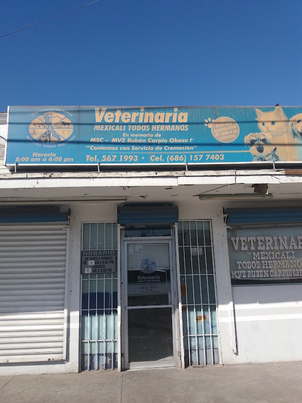 VETERINARIA MEXICALI TODOS LOS HERMANOS