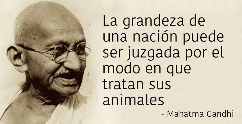 Veterinaria Mi Cachorro